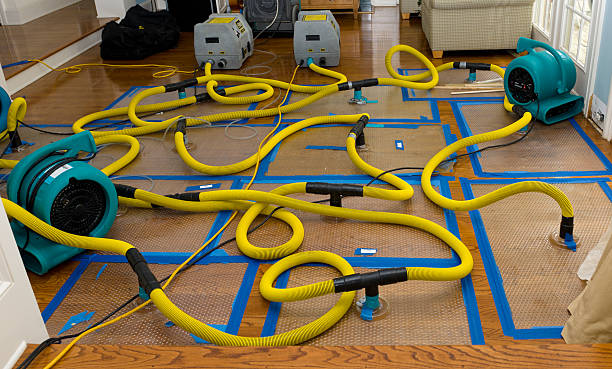 Professional Crawl Space Water Removal technician working in Bristol, FL
